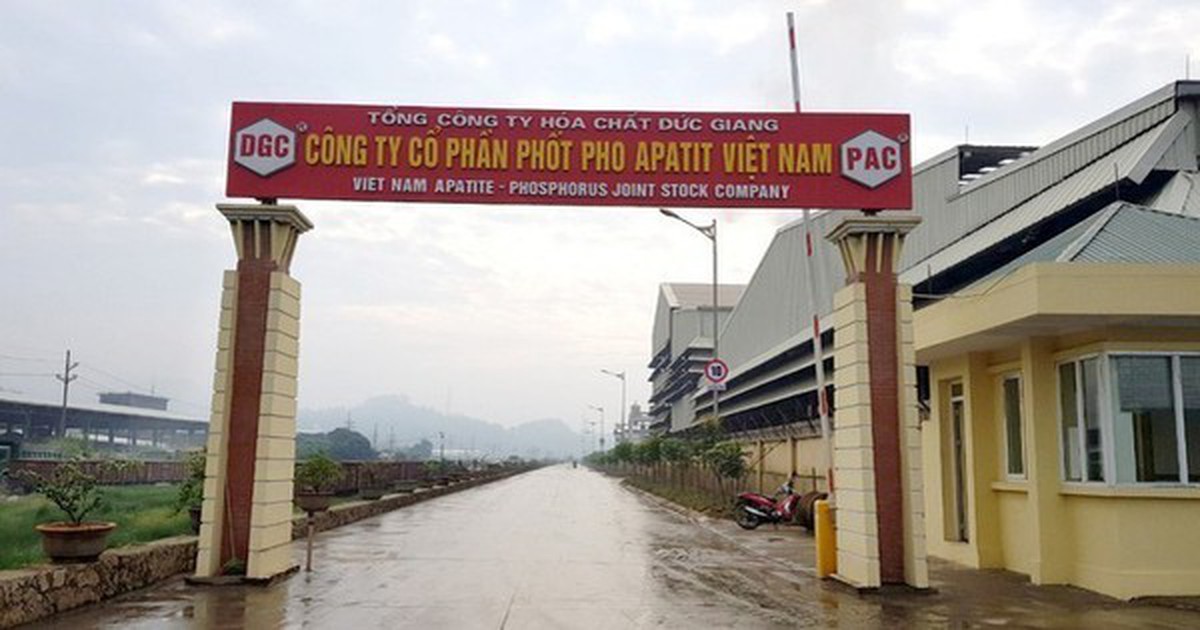 Công ty 'cháu' của Hóa chất Đức Giang thông báo bầu thay thế 4 thành viên HĐQT