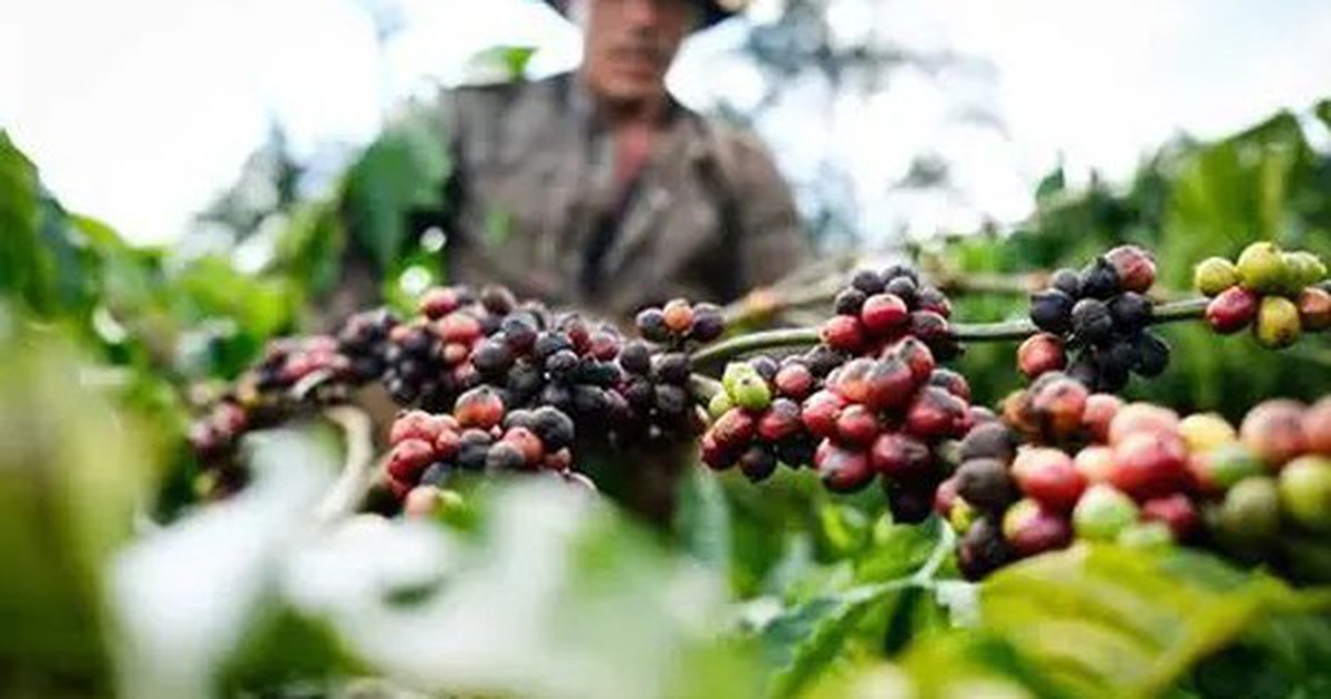 Kêu gọi doanh nghiệp chia sẻ khó khăn với nông dân trước biến động toàn cầu