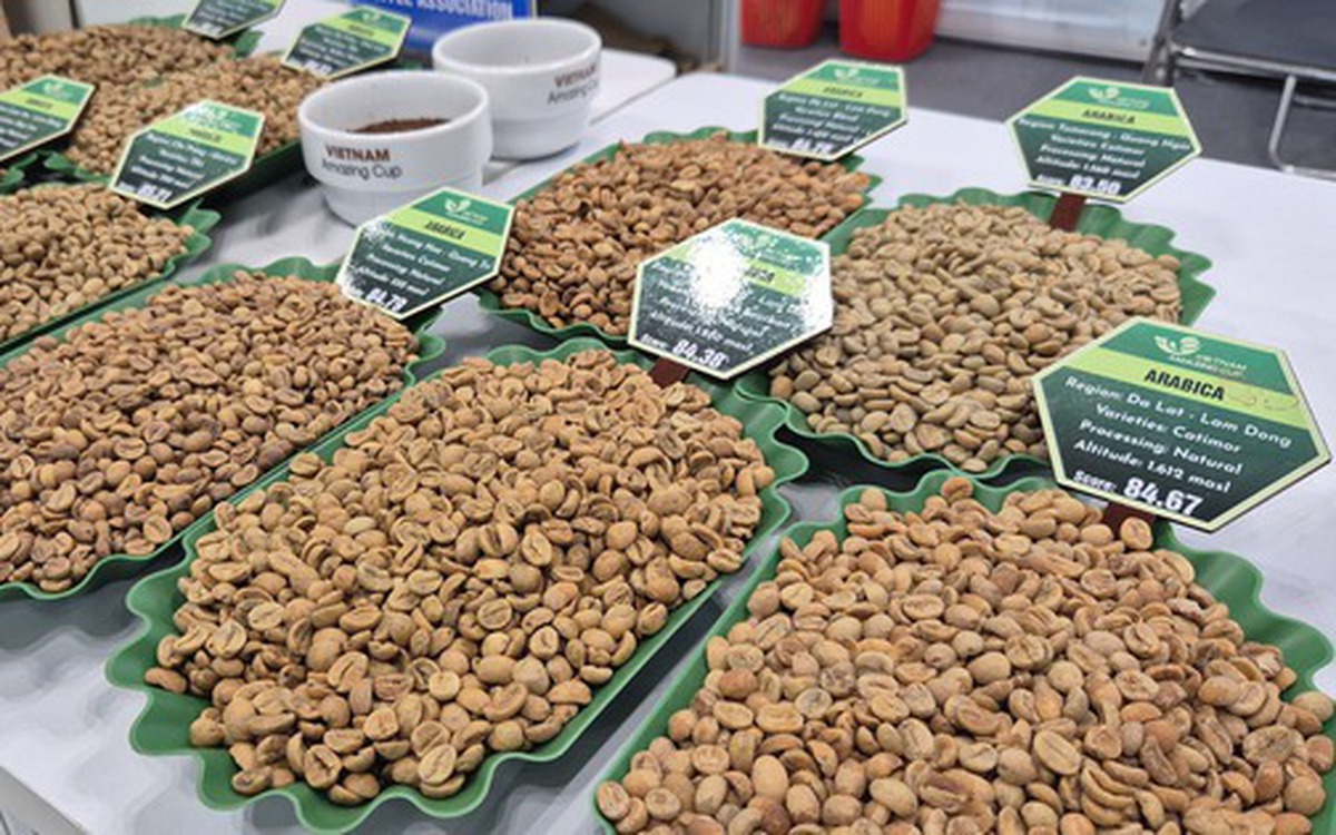 Giá cà phê hôm nay 26-3: Xuất hiện loại cà phê hơn 8 triệu đồng/kg