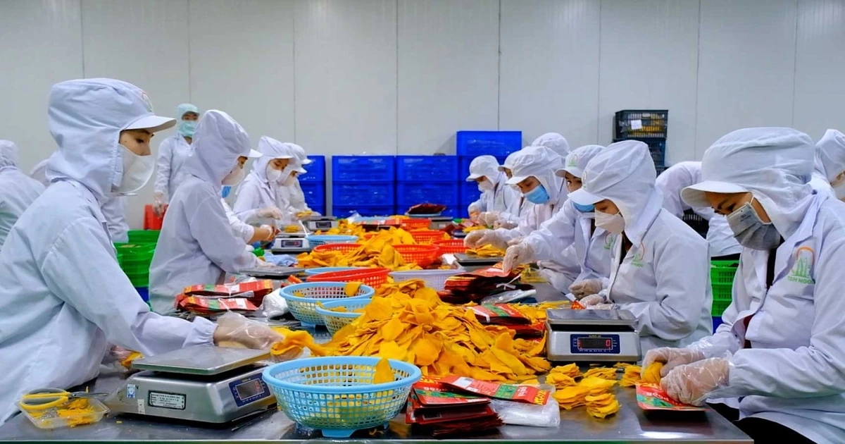 Xung đột Trung Đông: Cú sốc dây chuyền tới xuất khẩu nông sản Việt