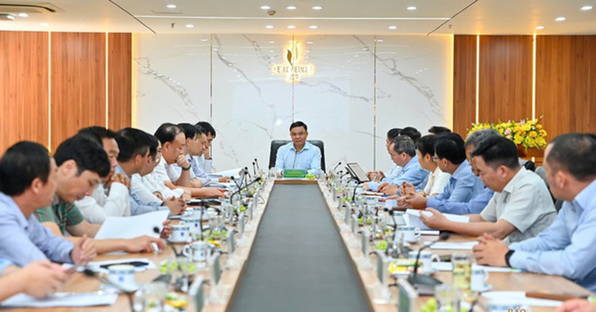 Quyền Bộ trưởng Bộ Công Thương Lê Mạnh Hùng làm việc với Lọc hóa dầu Bình Sơn