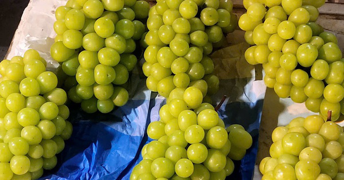 Việt Nam chi hàng trăm triệu USD nhập khẩu nho tươi Trung Quốc