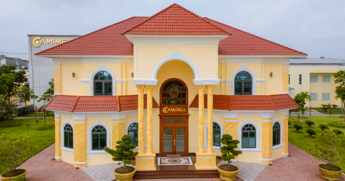 Đại gia thủy sản Camimex Group bị xử phạt vi phạm hành chính về thuế