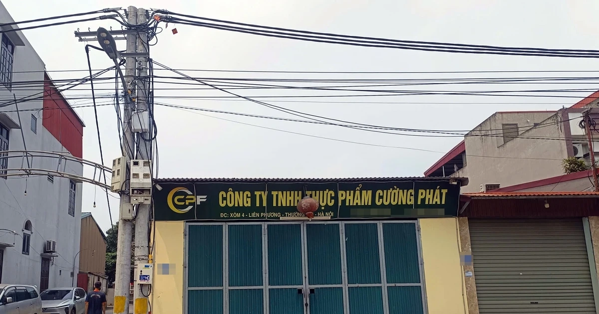 Bên trong công ty cung cấp thịt lợn nhiễm dịch tả lợn Châu Phi vào trường học