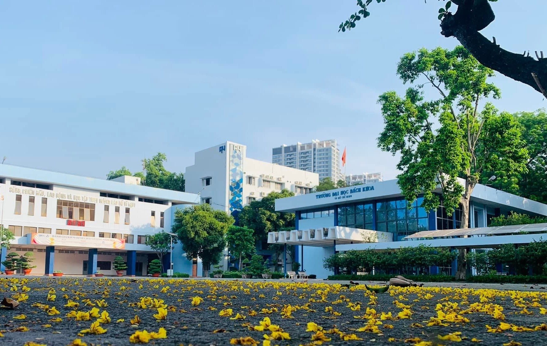 Phát Đạt (PDR) muốn "nhảy vào" đất vàng 14ha của Đại học Bách khoa sau di dời: Sở Văn hóa và Thể thao TP.HCM chính thức lên tiếng - Ảnh 1