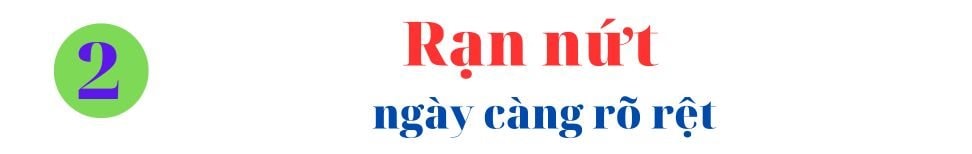 FT: Mỹ và Israel không cùng chung một cuộc chiến ở Iran - Ảnh 5