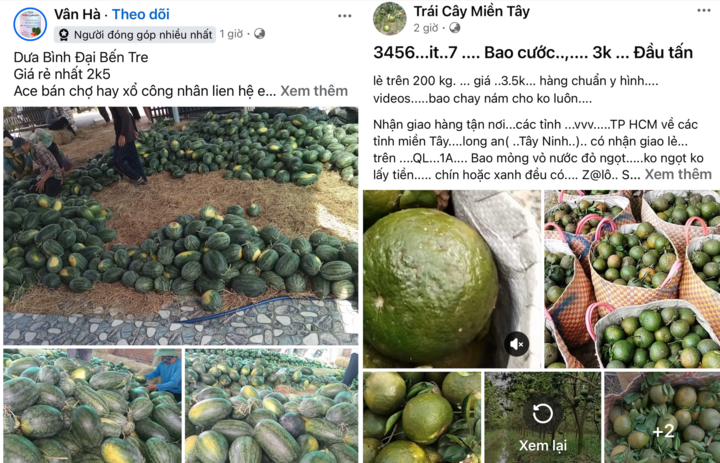 Cam sành, dưa hấu ‘dội chợ’, bán đầy vỉa hè và chợ mạng - Ảnh 4