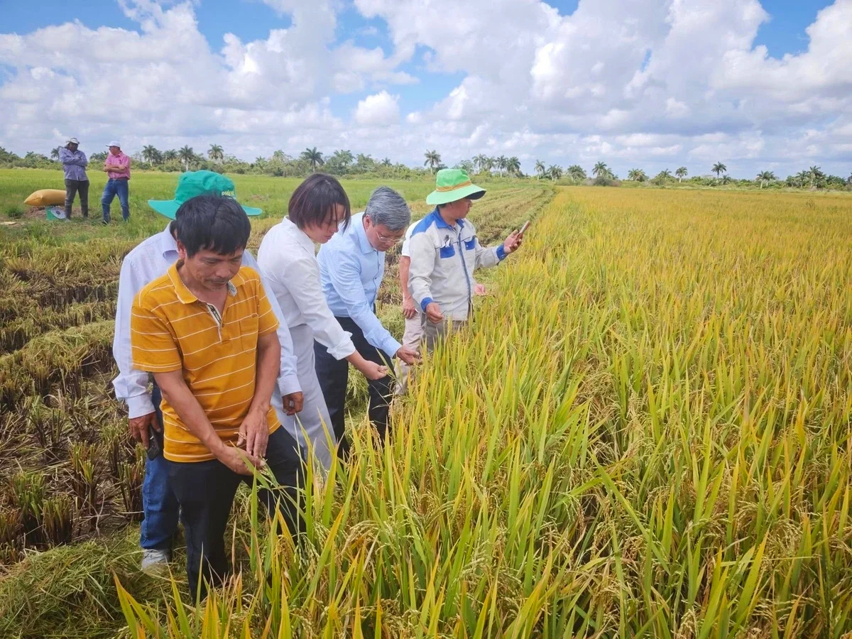 "Món quà vượt đại dương" cùng Tổng Bí thư Tô Lâm và niềm hạnh phúc vỡ òa ở Cuba - Ảnh 2
