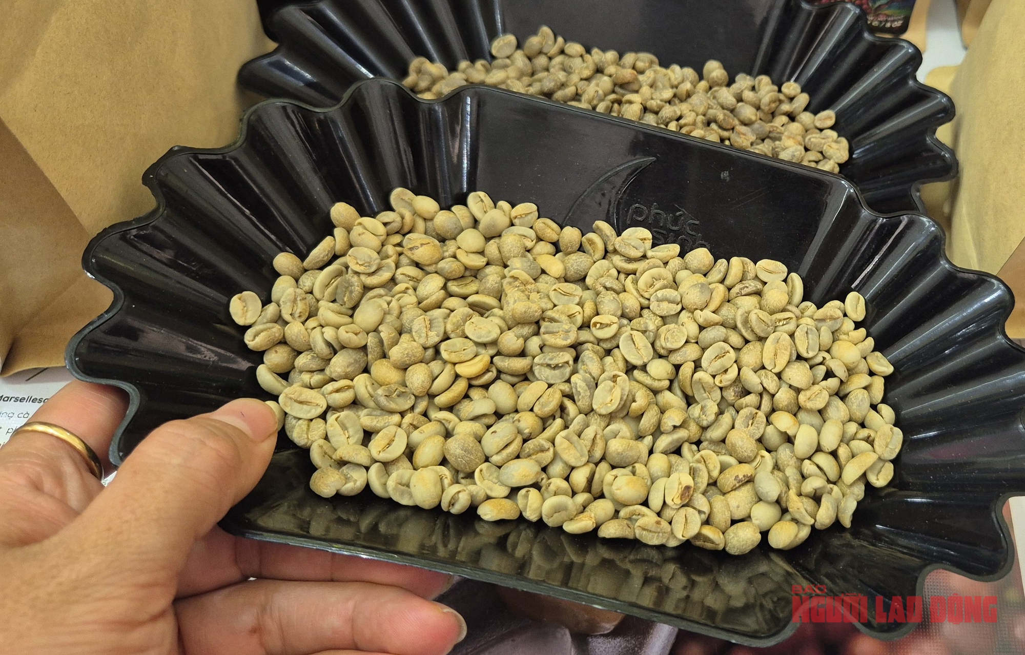 Giá cà phê hôm nay 4-3: Quay đầu giảm, Trung Quốc tăng mua cà phê - Ảnh 1