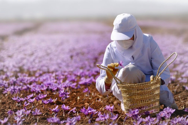 Phát minh "thiên niên kỷ" của Iran rung chuyển thế giới, tạo ra "vàng đỏ" đắt nhất hành tinh - Ảnh 3