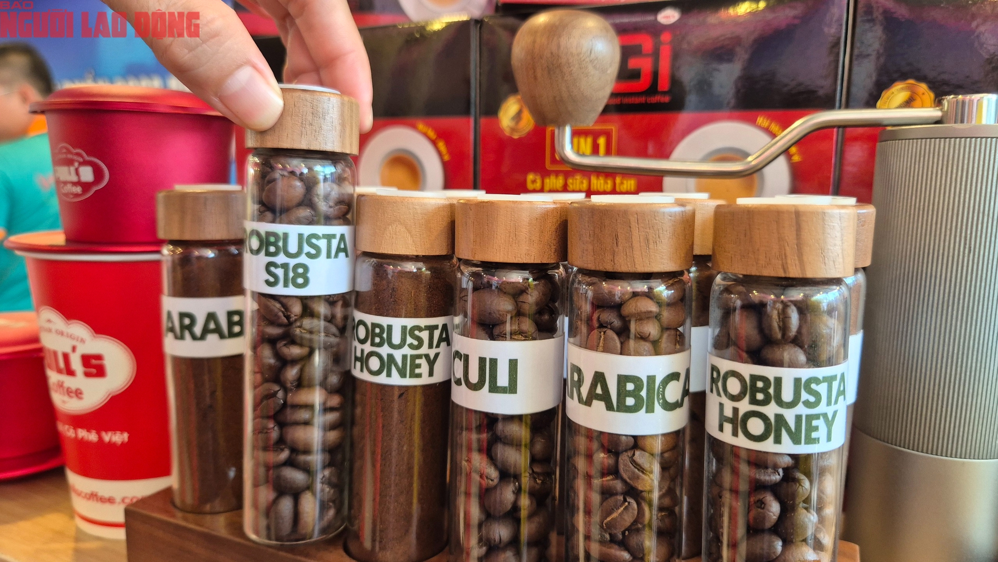 Giá cà phê hôm nay 14-3: Rớt mạnh khi người Mỹ thay đổi thói quen - Ảnh 2