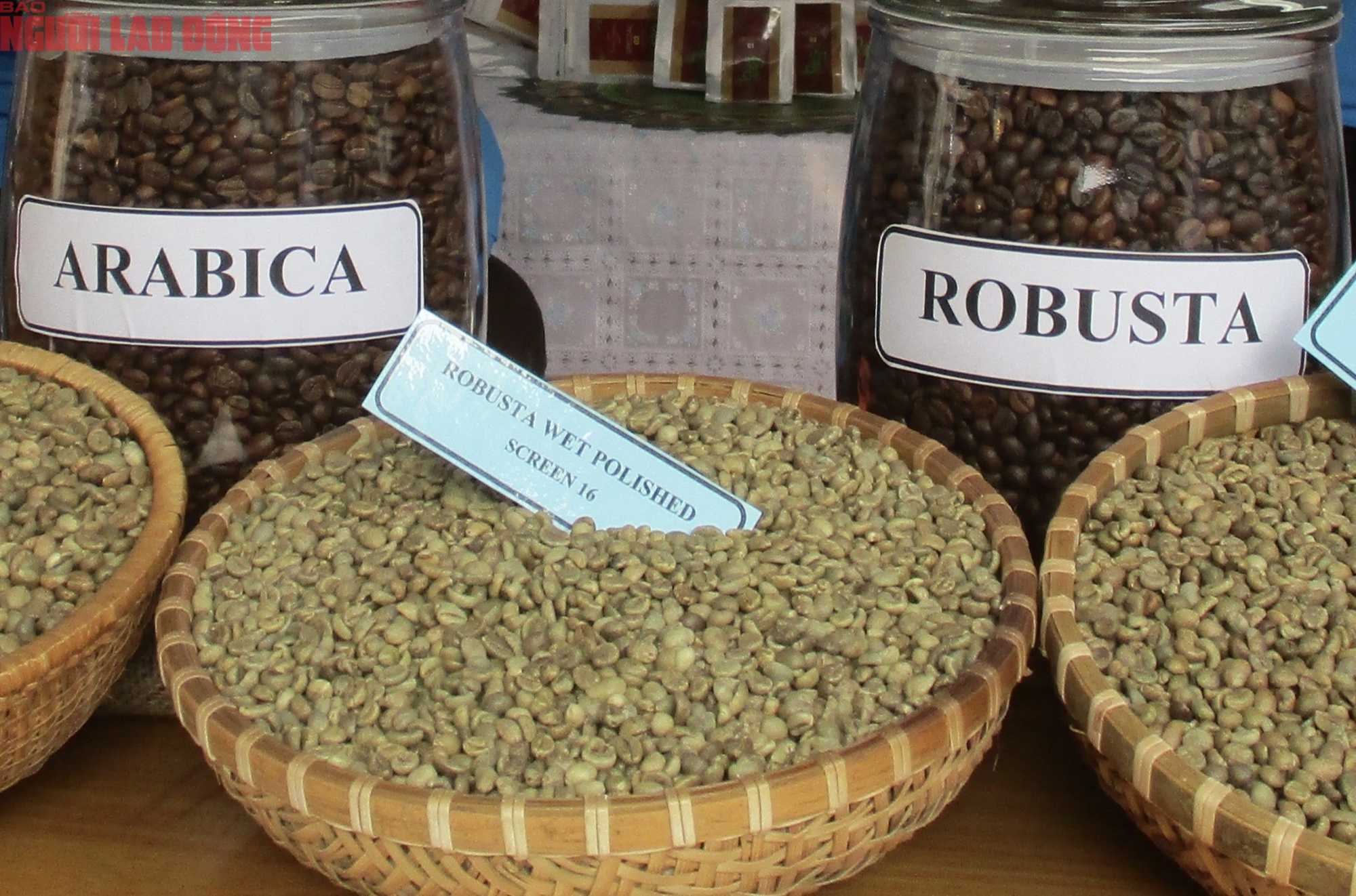 Giá cà phê hôm nay 21-3: Arabica tăng nóng - Ảnh 2