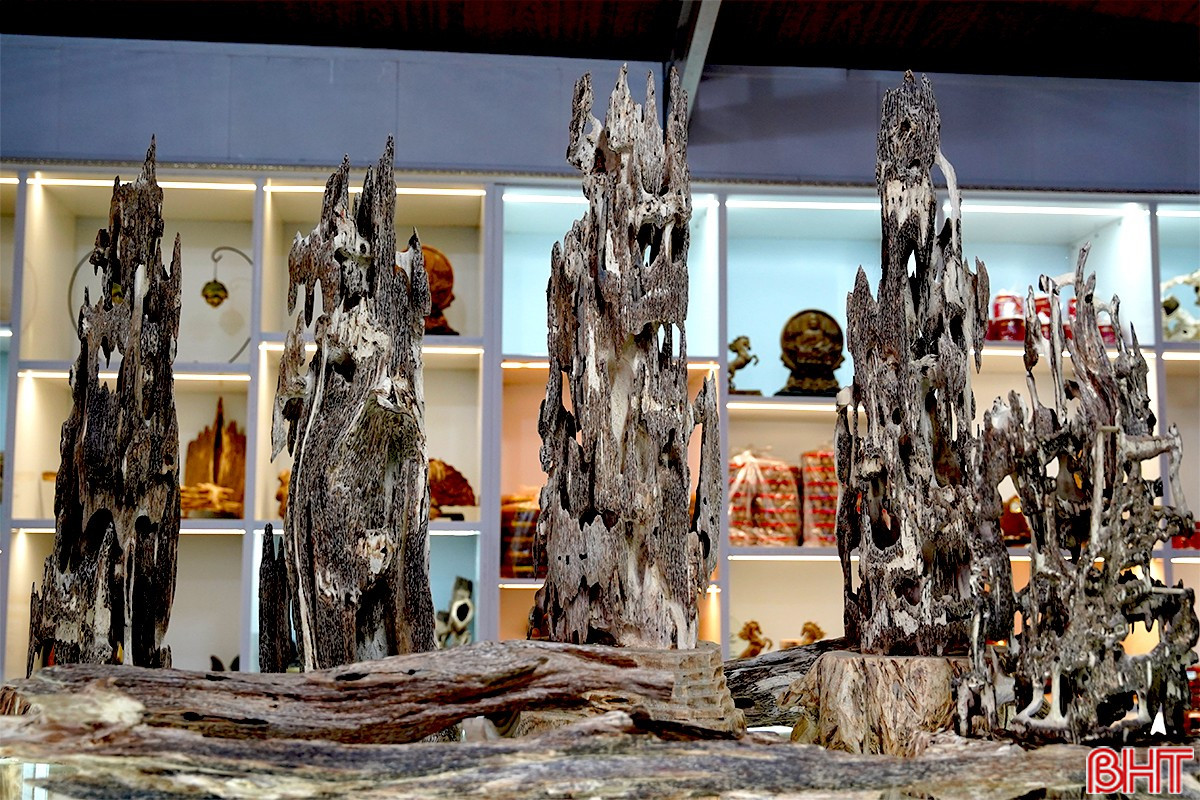 Cụ ông 98 tuổi biến khối gỗ mục làm củi thành "vàng", kiếm 200 tỷ mỗi năm cho vùng rốn lũ miền Trung - Ảnh 5