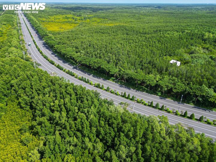 TP.HCM cân đối, phân bổ quỹ nhà tái định cư cho dự án Metro Bến Thành - Cần Giờ - Ảnh 2