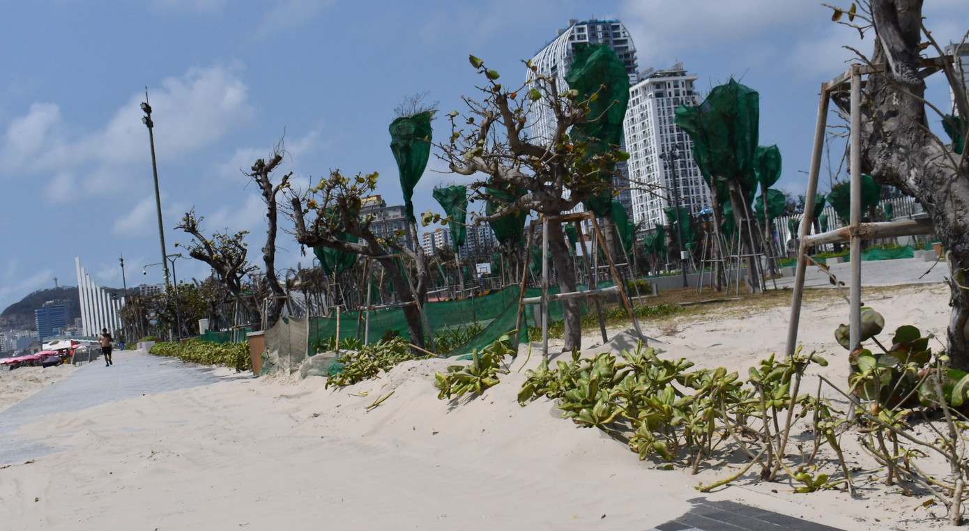 Cát bay phủ kín công viên mới đầu tư nghìn tỷ bên bờ biển ở TPHCM - Ảnh 12