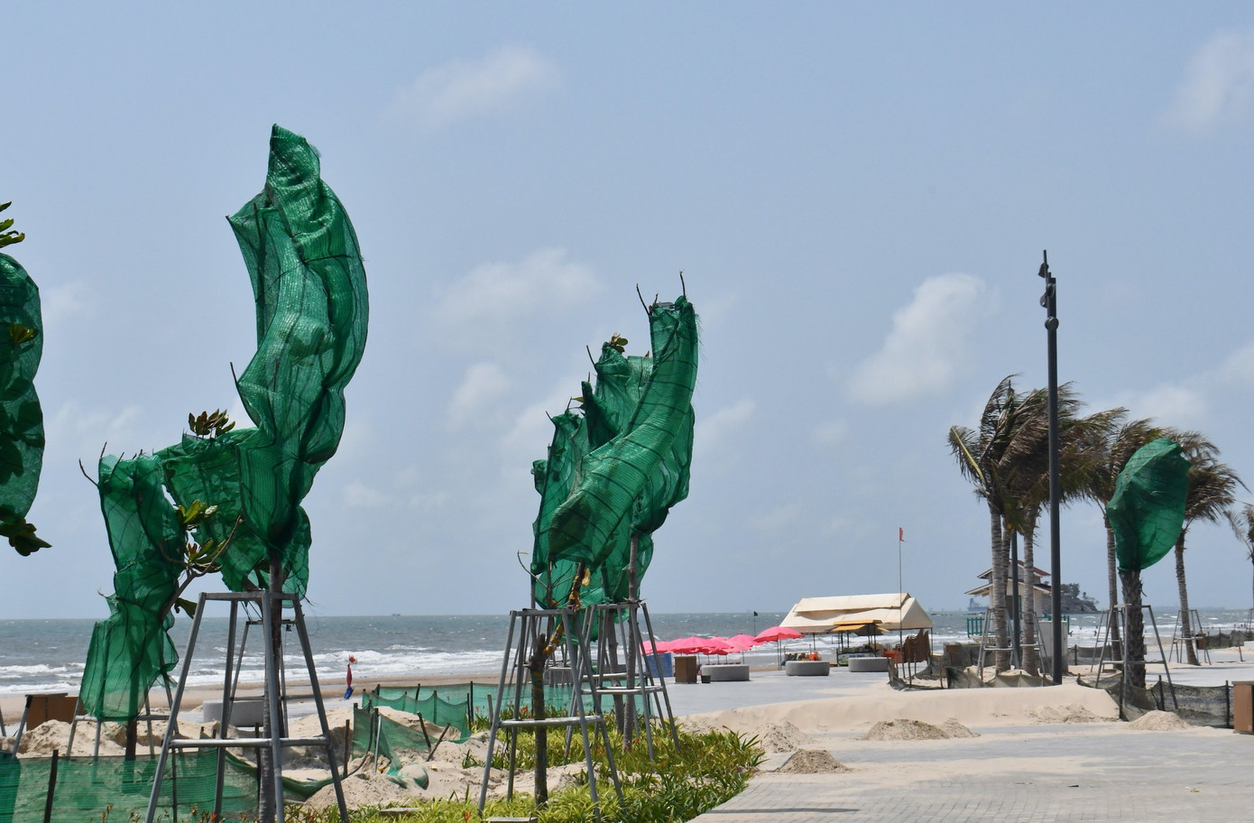 Cát bay phủ kín công viên mới đầu tư nghìn tỷ bên bờ biển ở TPHCM - Ảnh 5