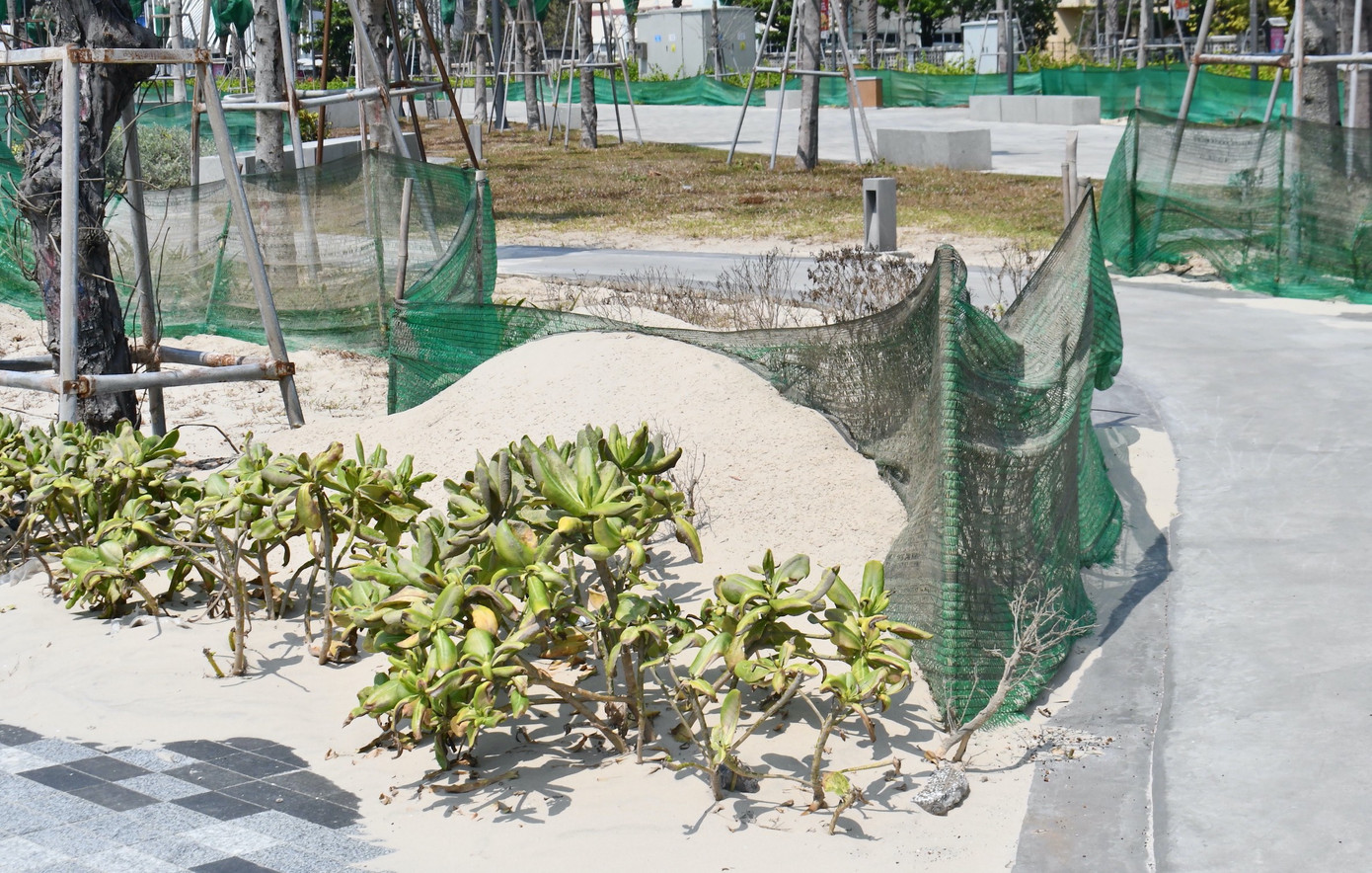 Cát bay phủ kín công viên mới đầu tư nghìn tỷ bên bờ biển ở TPHCM - Ảnh 6