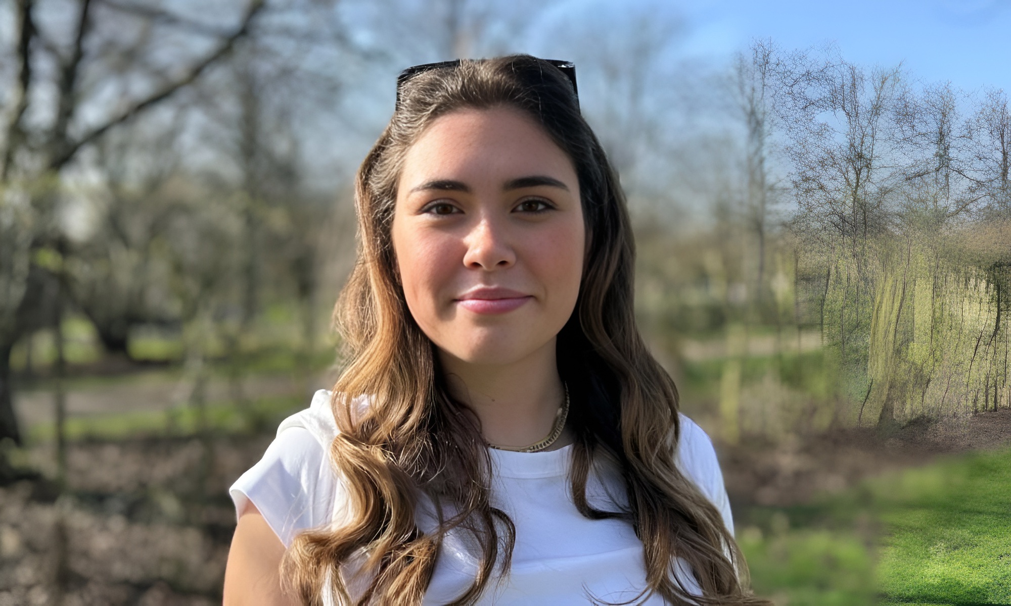 Thạc sĩ khoa học máy tính rải hơn 500 hồ sơ xin việc nhưng đều bị từ chối - Ảnh 1