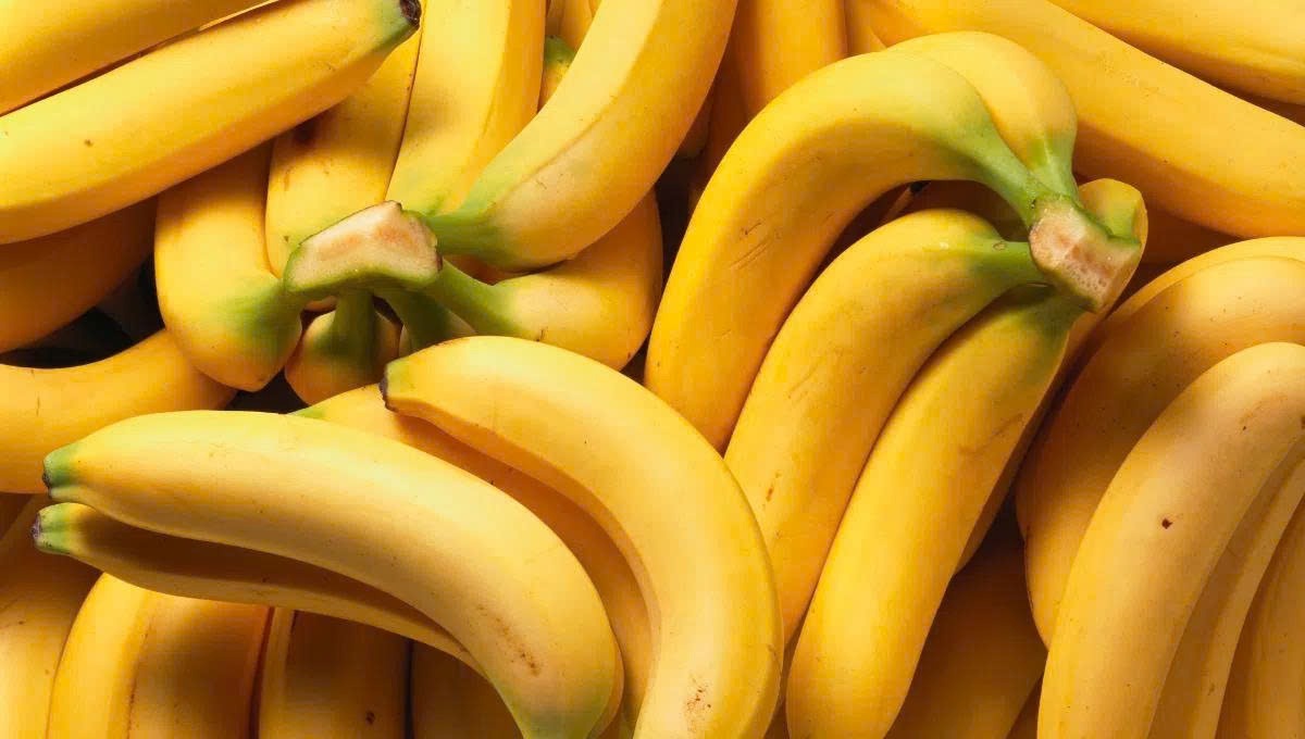 “Vua trái cây” tiêu thụ nhiều nhất thế giới: Trồng bạt ngàn ở Đồng Nai, mùa nào cũng sẵn, giá chưa tới 10.000đ/quả - Ảnh 1