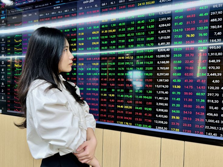 Chứng khoán 'đứt' mạch tăng, cổ phiếu Viettel dậy sóng - Ảnh 1