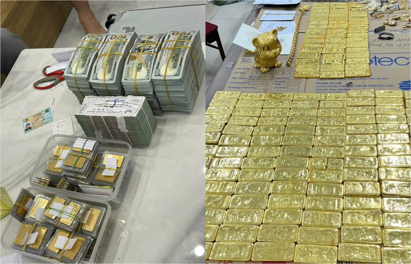 Trinh sát 9X lần đầu tiết lộ về siêu lừa nghìn tỷ Mr Pips và lời gợi "chi" để được giảm trách nhiệm - Ảnh 1