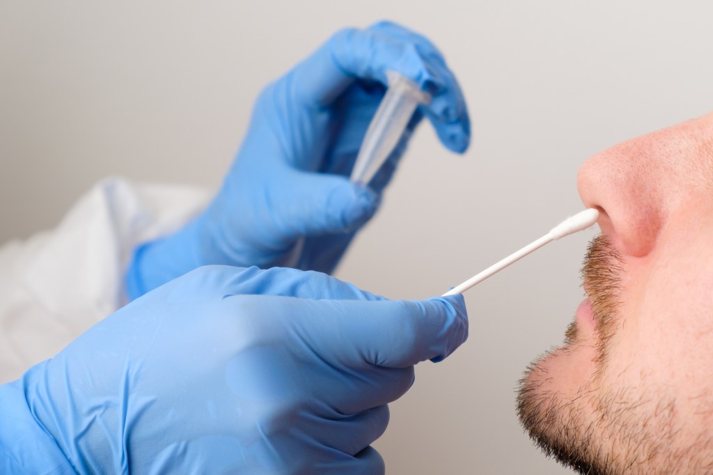 Biến thể COVID “Ve sầu” lây lan tại Mỹ, nguy cơ gây làn sóng dịch mới - Ảnh 2