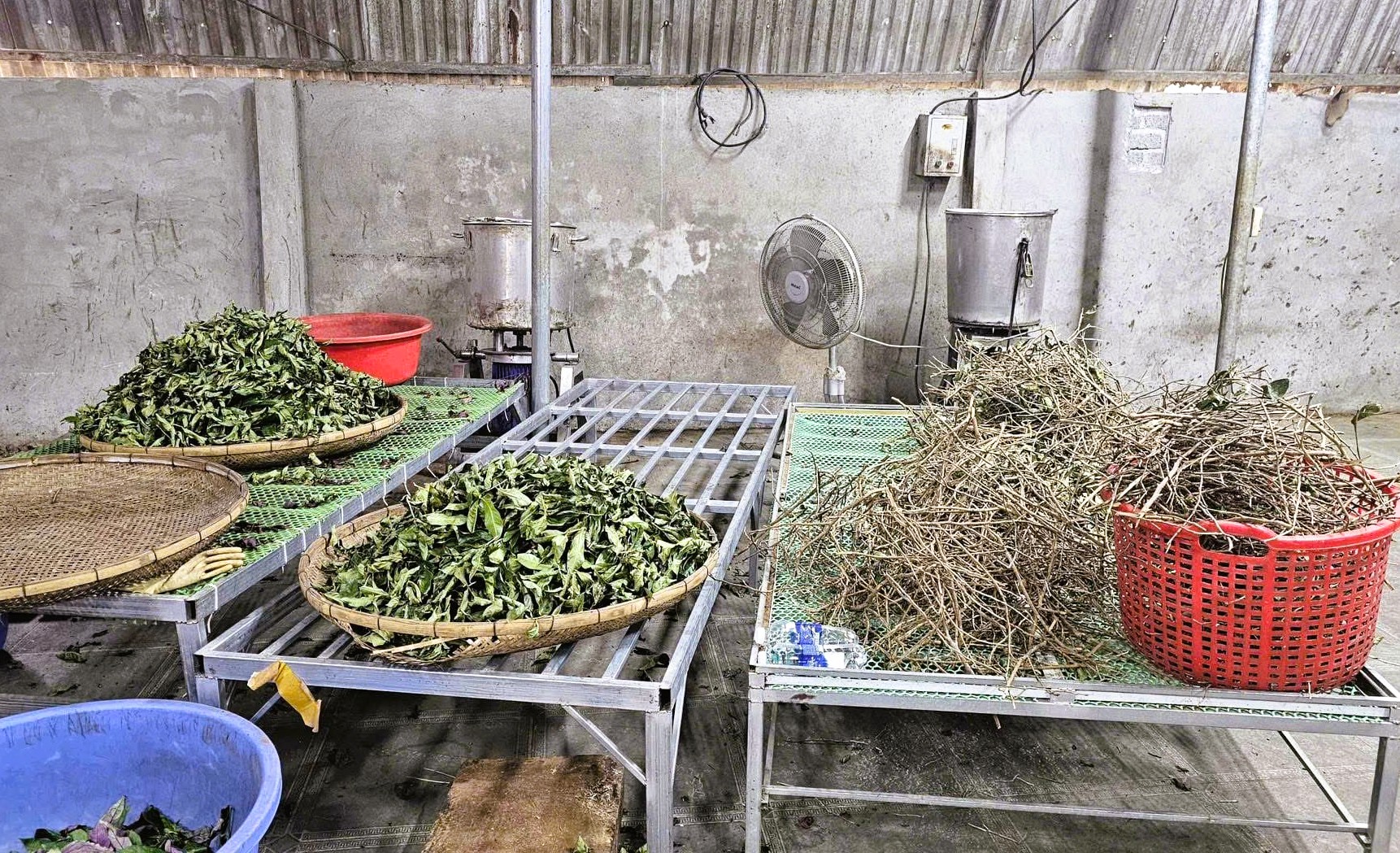 "Thần y" dỏm với "bài thuốc gia truyền 3 đời" Hoàng Minh Đường khiến hàng ngàn người sập bẫy - Ảnh 2