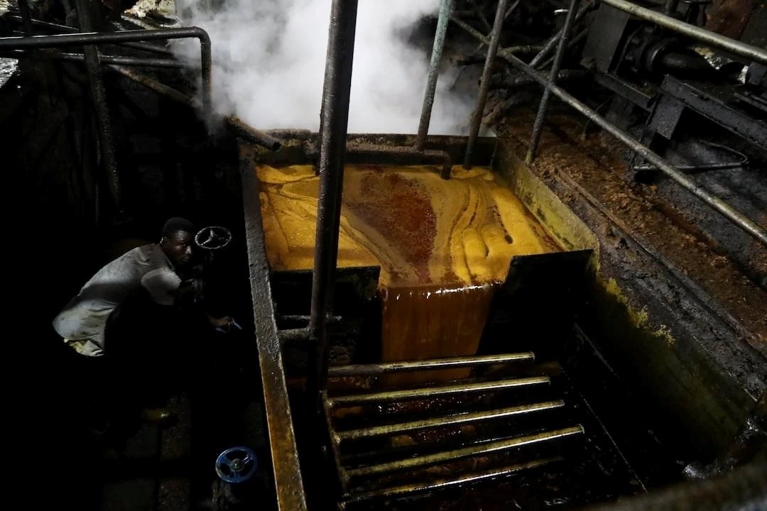 Xăng, dầu tăng giá chóng mặt, loại dầu được coi là 'nhiên liệu tương lai' này có lên ngôi? - Ảnh 2