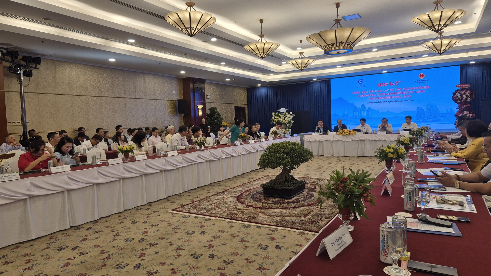 Gia Lai chọn 6 doanh nghiệp quy mô tỉ USD để xây dựng thương hiệu quốc tế - Ảnh 1