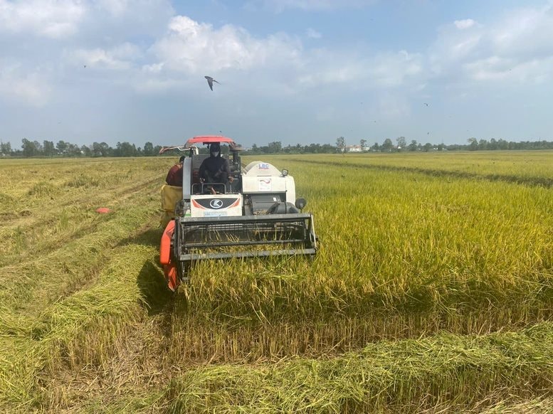 VN làm thành công dự án đầu tiên trên TG trong lĩnh vực nuôi sống một nửa nhân loại: Vừa áp dụng robot AI - Ảnh 3