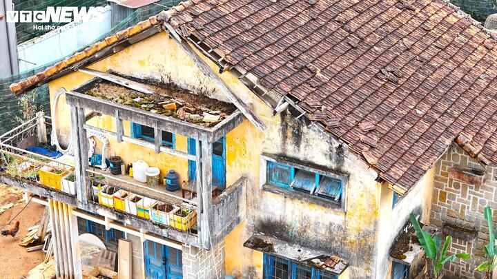 Cận cảnh biệt thự, khu nhà đất 'vàng' bỏ hoang, lãng phí ở Ðà Lạt - Ảnh 5