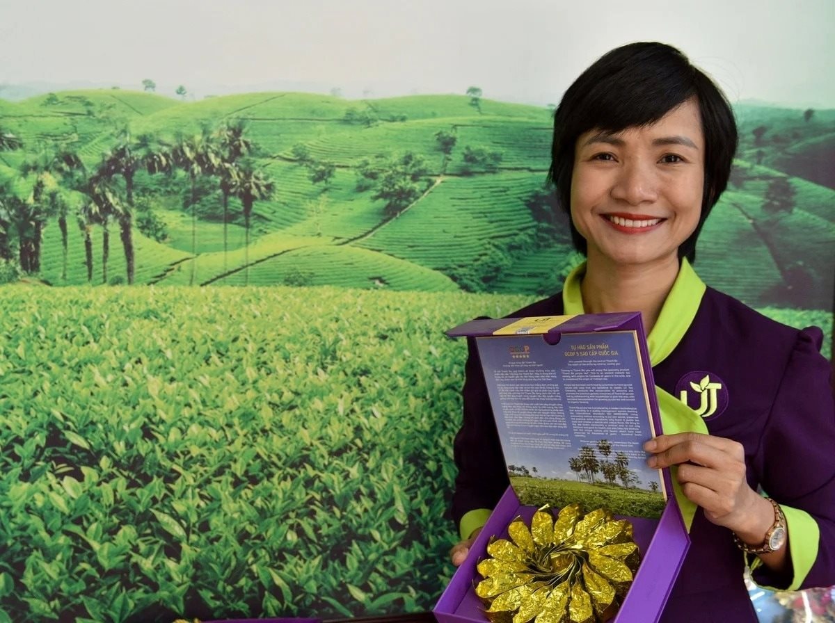 Hồi sinh loại cây từng bị đốn làm củi, chứa 'chất quý' gấp 135 lần bình thường, nữ giám đốc thu hơn 1 tỷ đồng/tấn - Ảnh 1