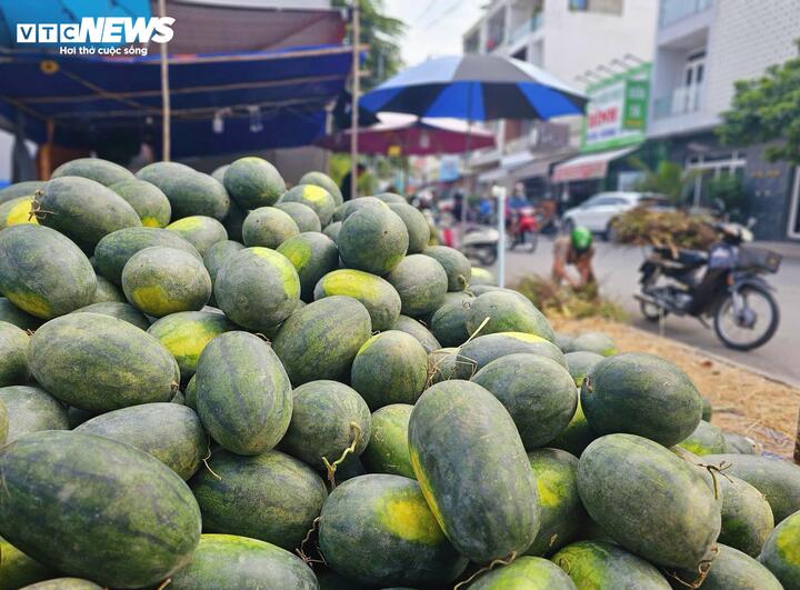 Cam sành, dưa hấu ‘dội chợ’, bán đầy vỉa hè và chợ mạng - Ảnh 6