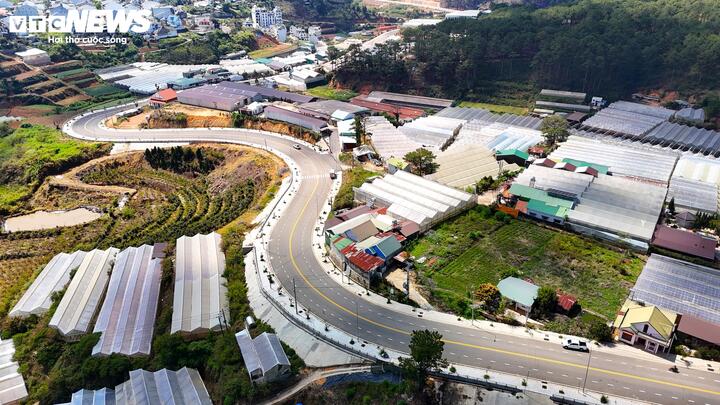 Cận cảnh đường vành đai 870 tỷ đồng, băng qua rừng thông xanh mát của Đà Lạt - Ảnh 4