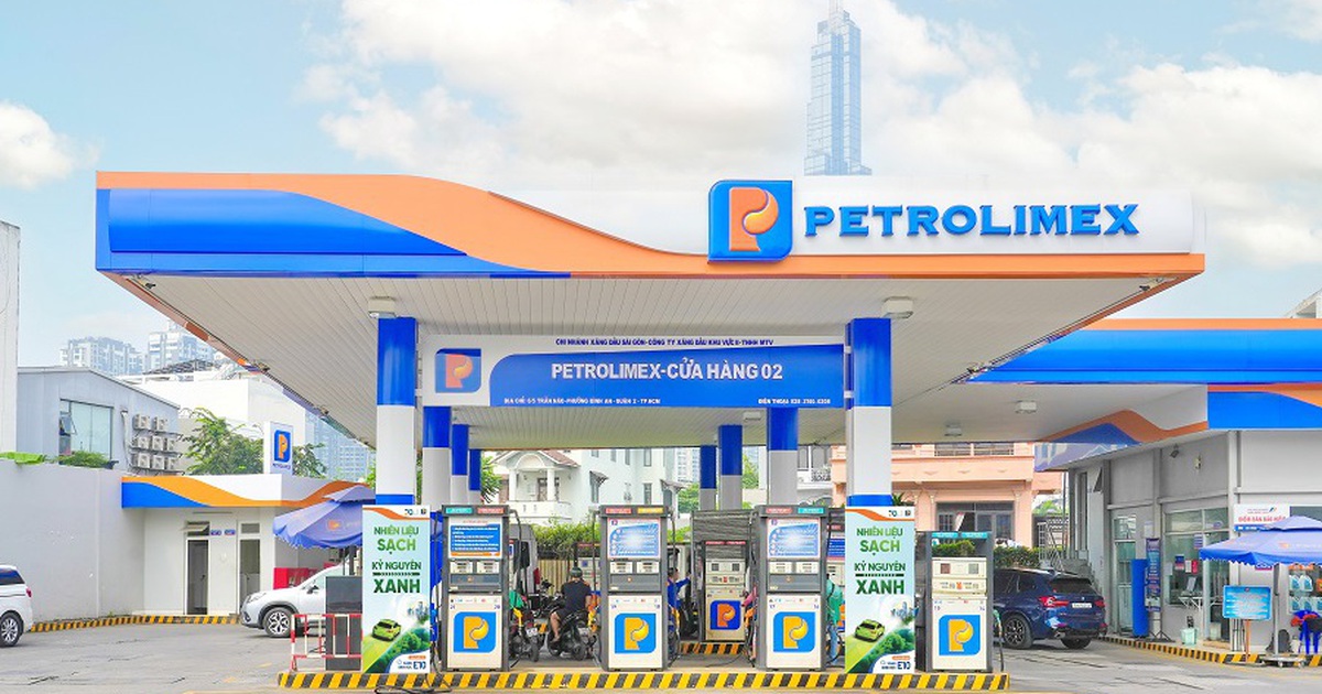 Chủ tịch HĐQT Petrolimex hứa: Có thể hy sinh lợi nhuận để nhập thêm xăng dầu cung cấp cho thị trường - Ảnh 2