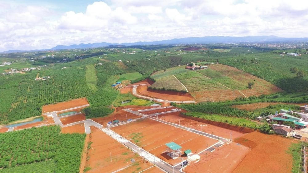 Tăng hỗ trợ, giảm áp lực tài chính khi chuyển mục đích sử dụng đất - Ảnh 1