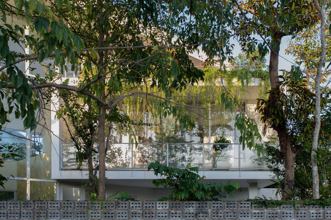 Ngôi nhà với 2 khu vườn trước sau xanh mát - Ảnh 4