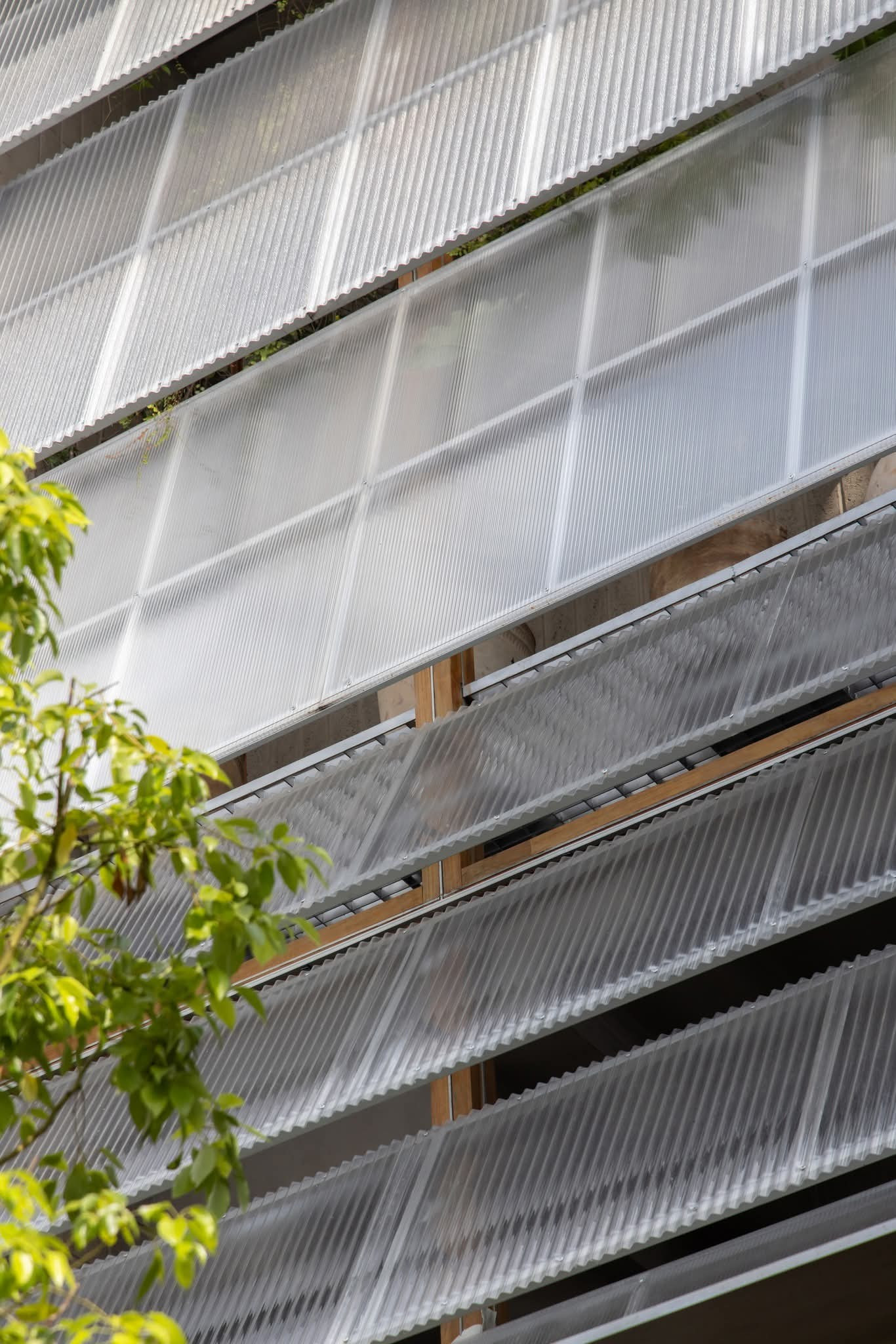 Thiết kế tích hợp sinh thái và không gian sống linh hoạt trong nhà ống - Ảnh 4