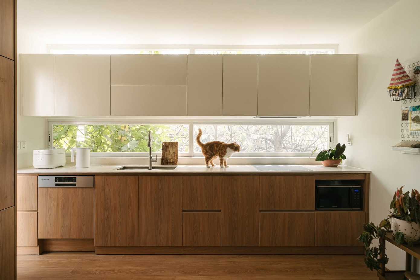 Ngôi nhà trẻ trung với nhiều sắc màu phối trộn - Ảnh 16