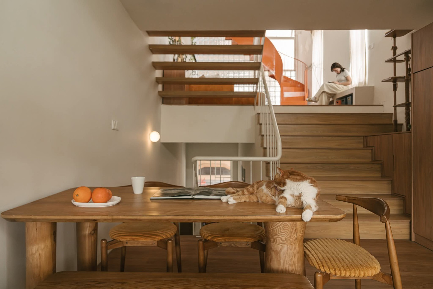 Ngôi nhà trẻ trung với nhiều sắc màu phối trộn - Ảnh 14