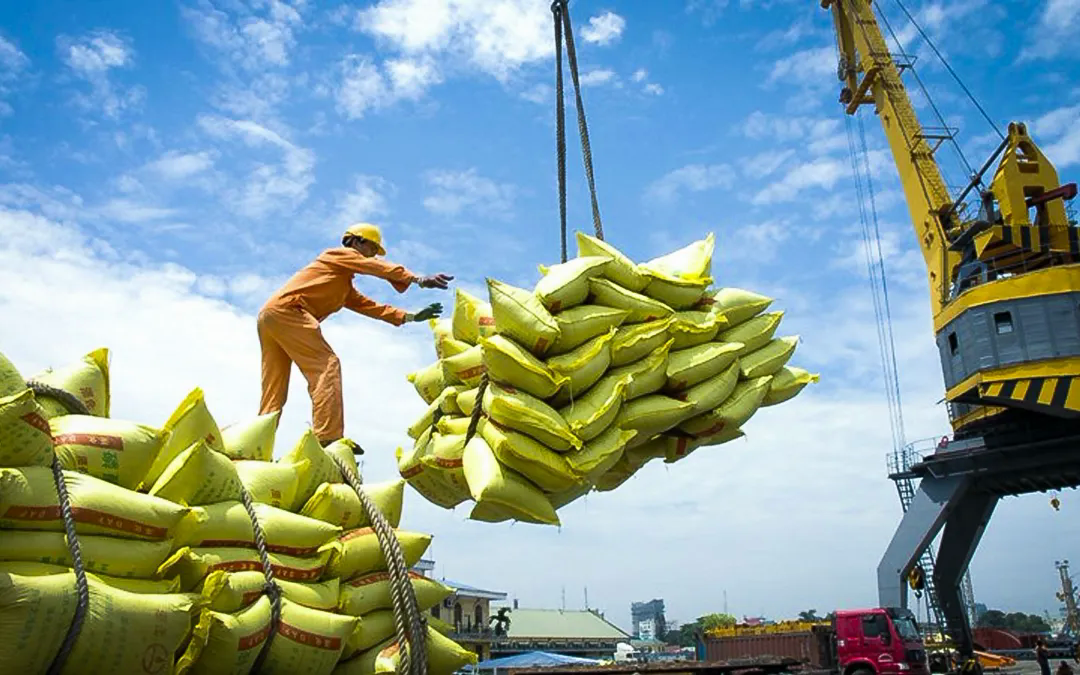 Xuất khẩu gạo: Chủ động thích ứng, giảm rủi ro thị trường - Ảnh 1