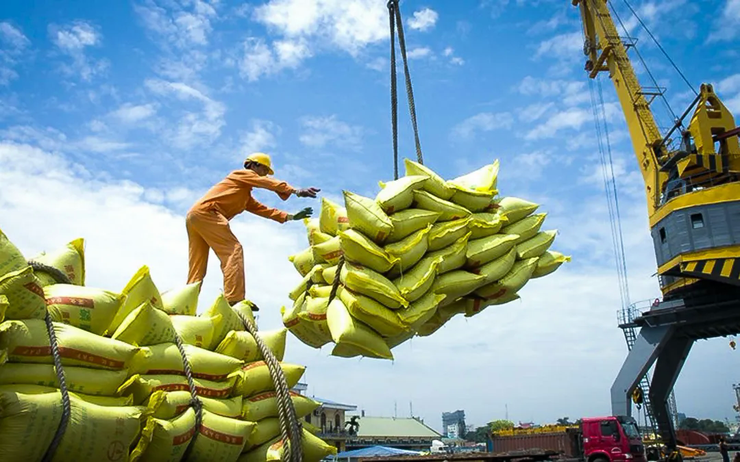 Xuất khẩu gạo của Việt Nam sang Senegal tăng gần 30 lần - Ảnh 1