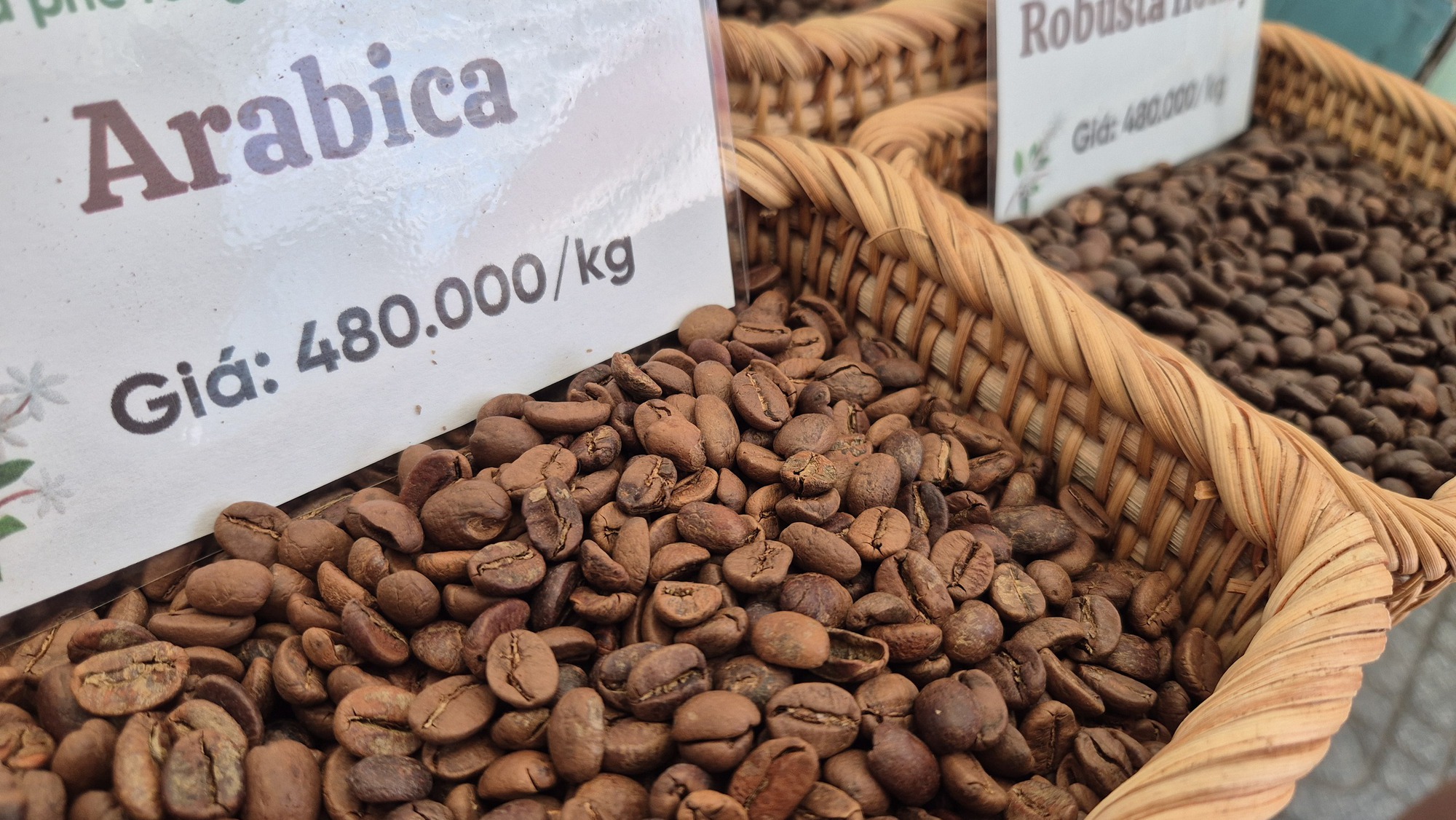 Giá cà phê hôm nay 25-3: Arabica tăng nóng, vượt 7.000 USD/tấn - Ảnh 1