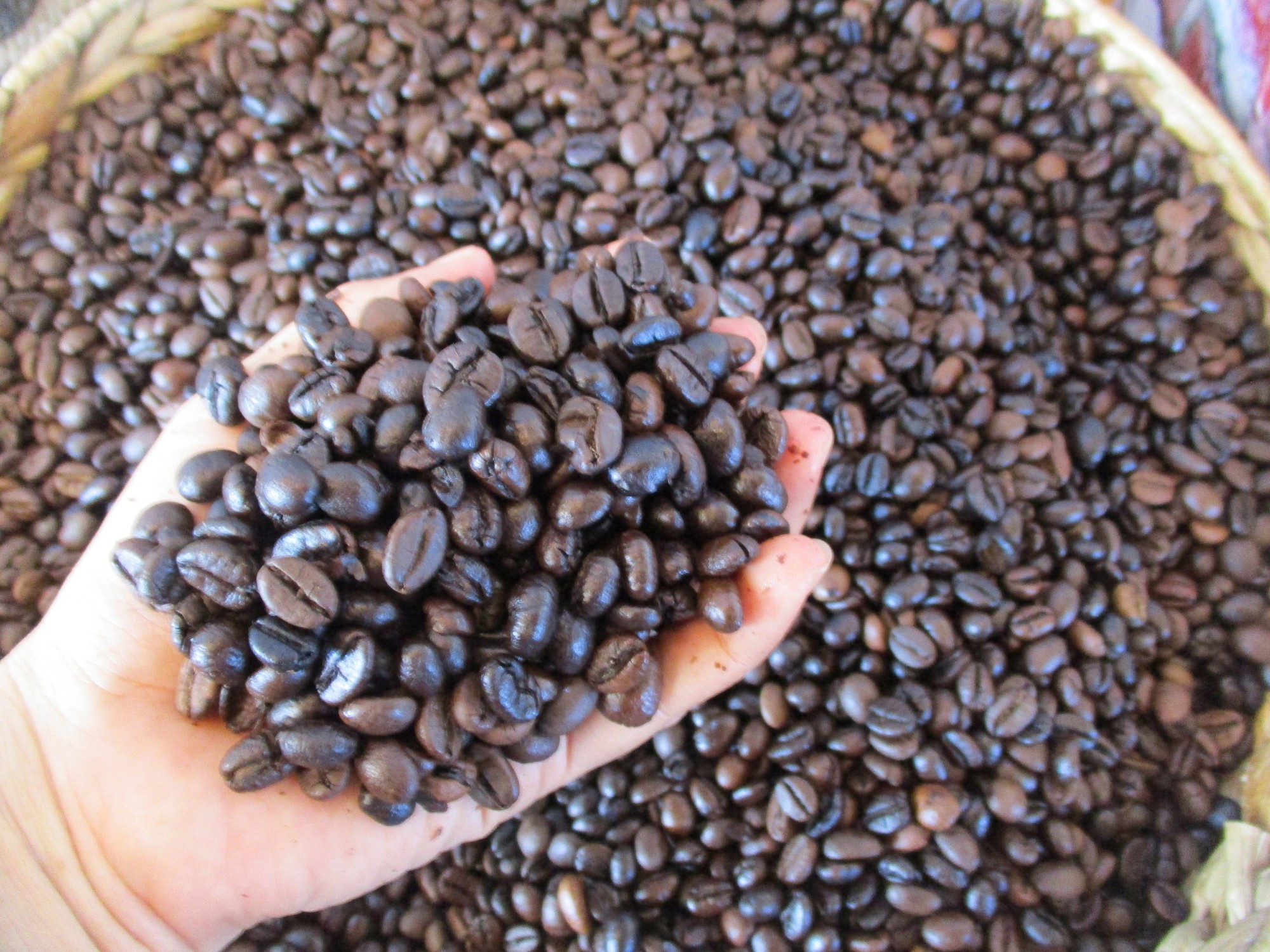 Giá cà phê hôm nay 6-3: Tăng tiếp, giá cà phê xuất khẩu vẫn hơn 4.000 USD/tấn - Ảnh 2