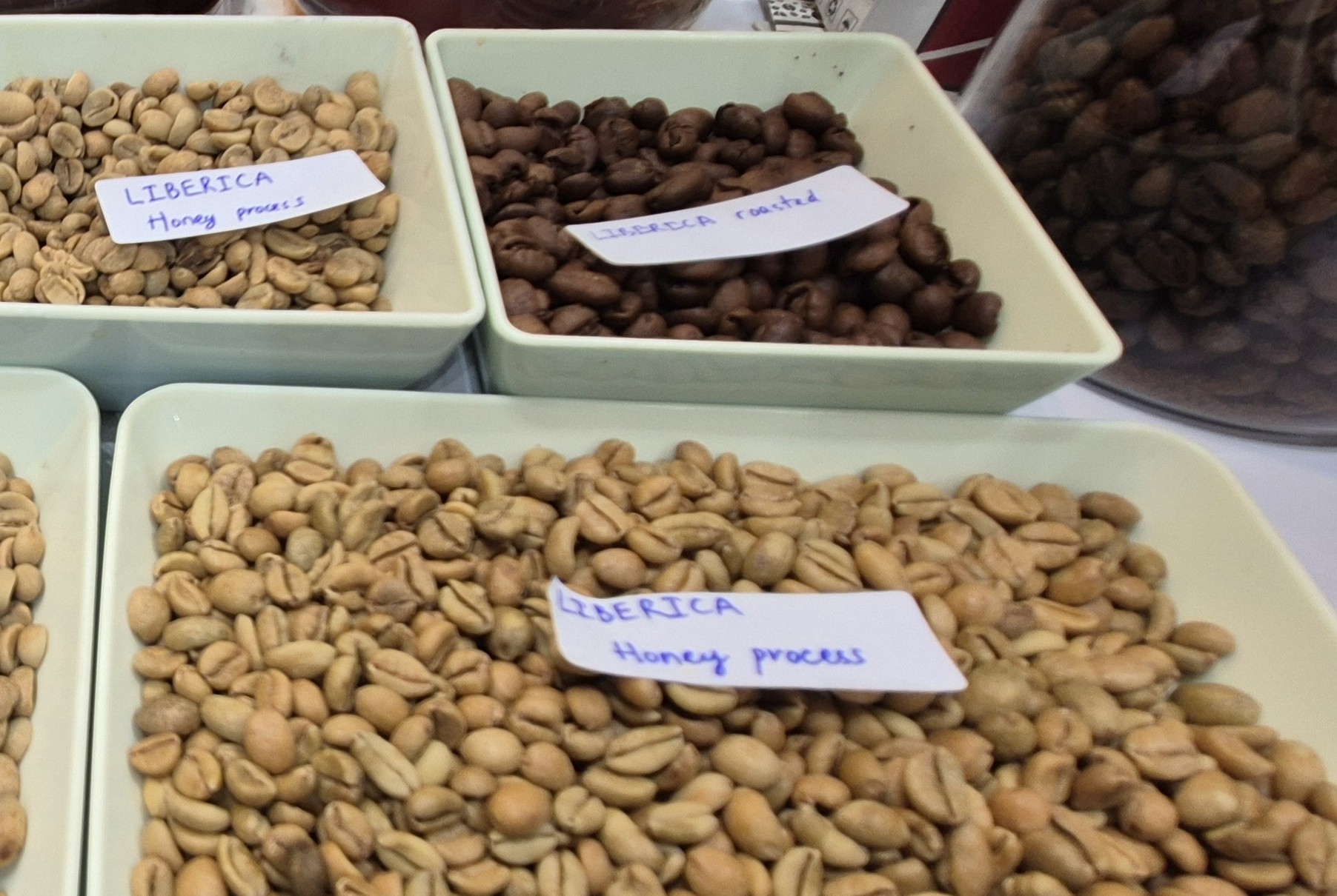 Giá cà phê hôm nay 7-3: Tăng tiếp, một loại cà phê đang được yêu thích vào vụ - Ảnh 2