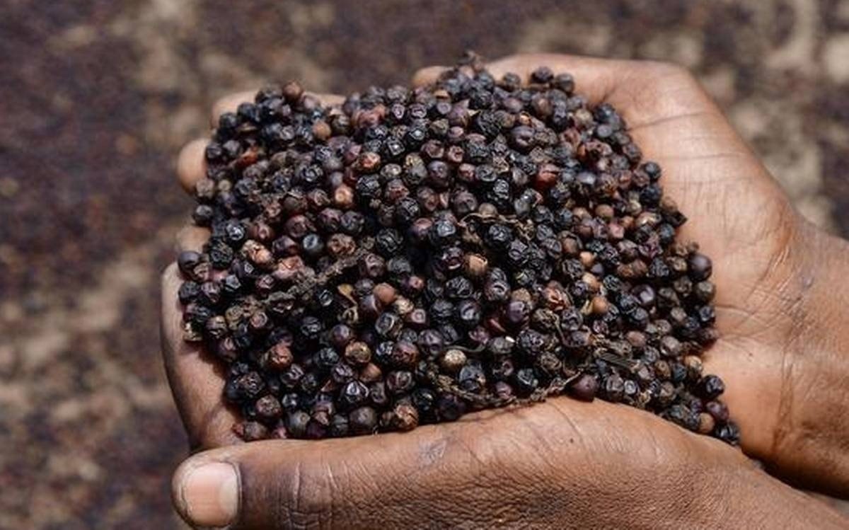 Việt Nam đón tin cực vui từ Thái Lan - Ảnh 3