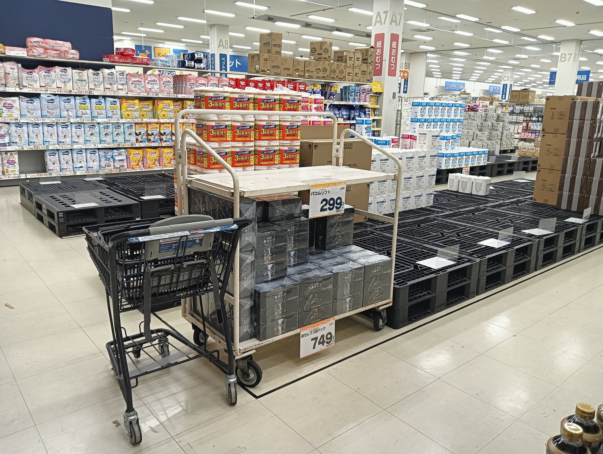 Xung đột Trung Đông kéo dài, người dân Nhật Bản đổ xô tích trữ giấy vệ sinh - Ảnh 1