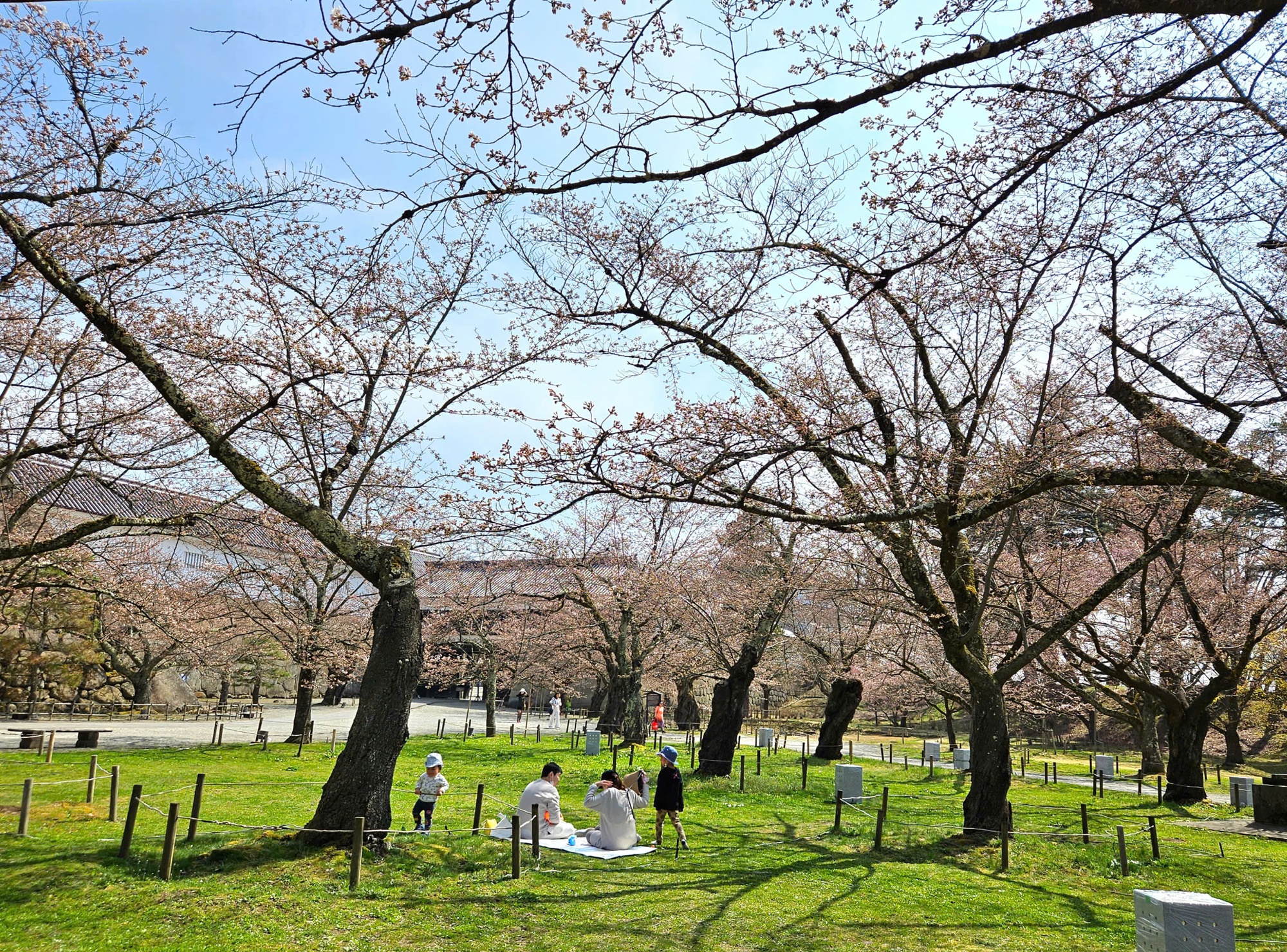 Con số bất ngờ về người Việt đi du lịch Nhật Bản - Ảnh 2