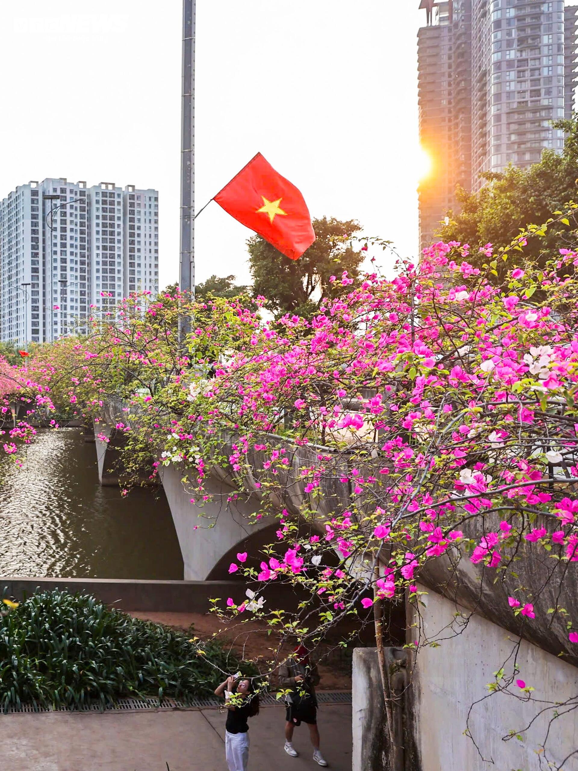 Hoa giấy phủ kín cầu Thủy Tiên, khung cảnh như 'xứ sở thần tiên' - Ảnh 8