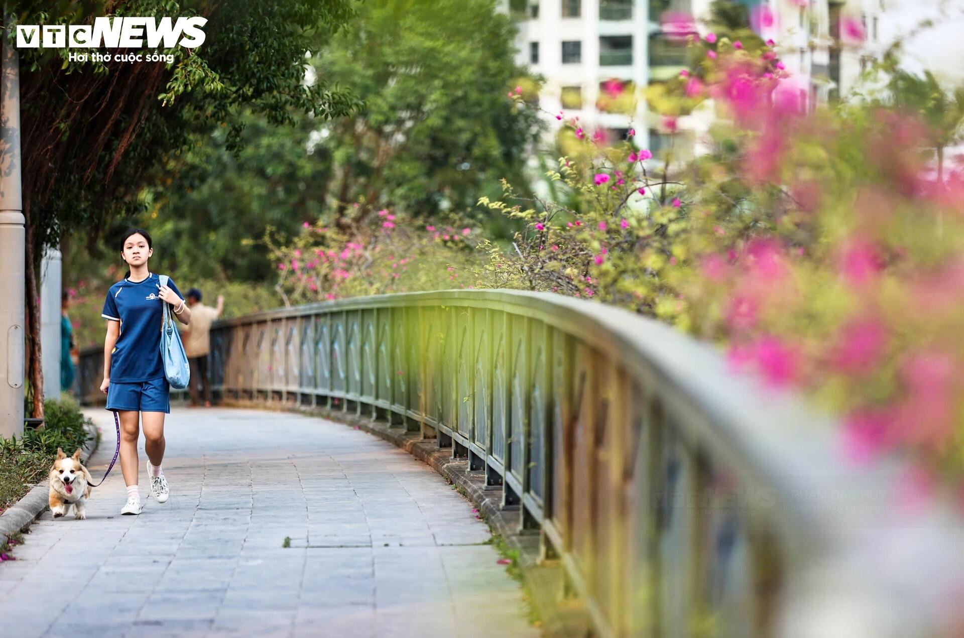 Hoa giấy phủ kín cầu Thủy Tiên, khung cảnh như 'xứ sở thần tiên' - Ảnh 16